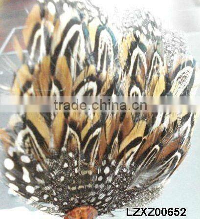 ringneck church window pad LZXZ00584