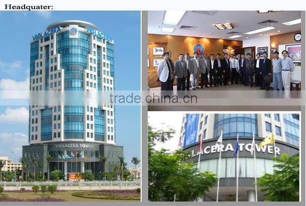 VIGLACERA 1 piece toilet S trap