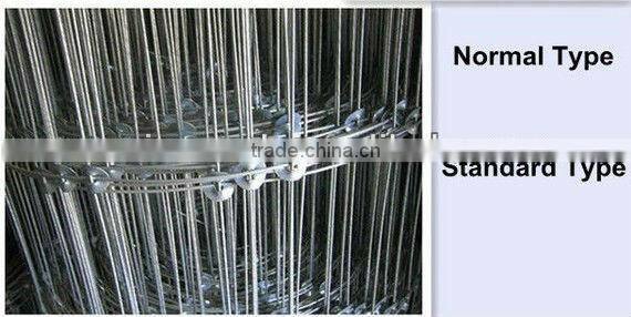 ISO 9001 stainless steel field fence