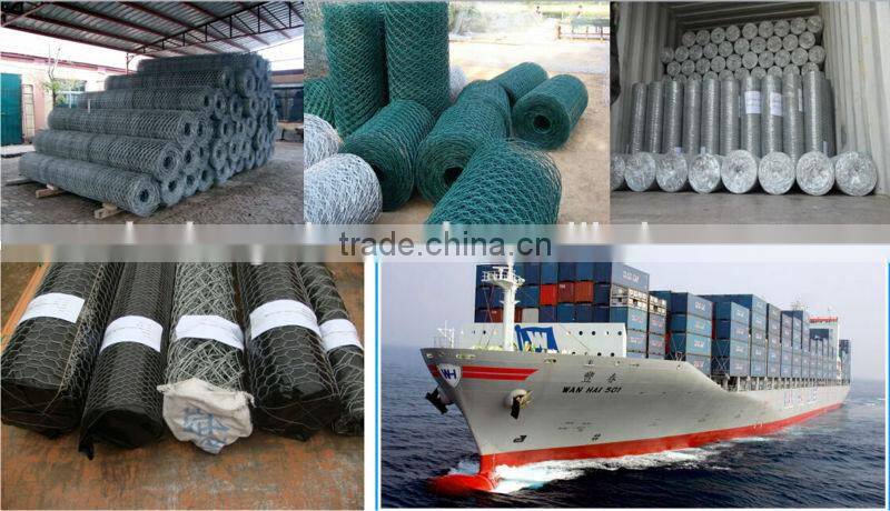 Electro Galvanized Hex Wire Netting