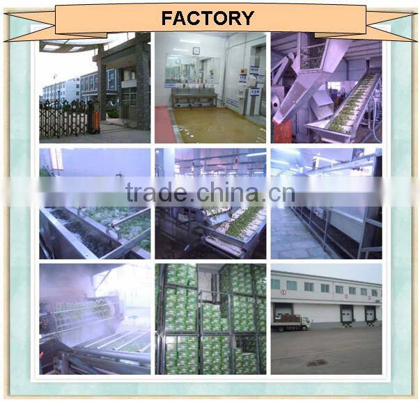 Sinocharm Fresh Peeled Frozen Lychee