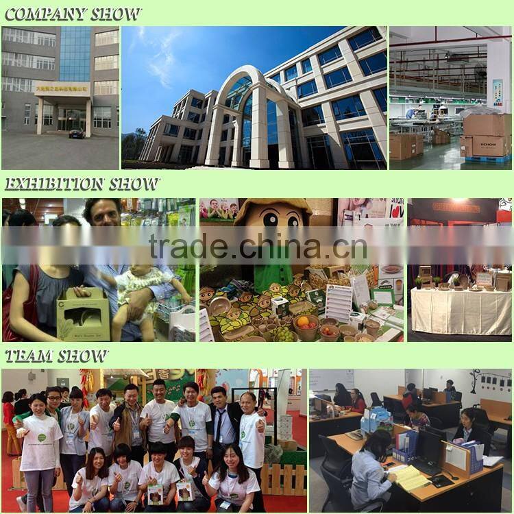 eco healthy kids lunch bowl