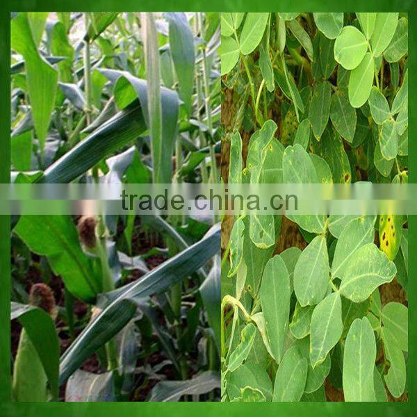 High efficient biomass fuel briquette machine