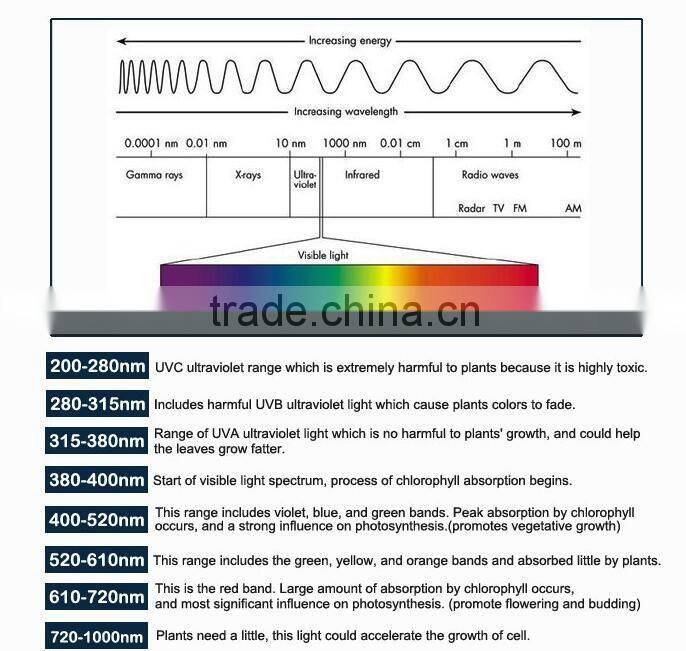 Wholesale 300W Led Grow Full Spectrum Light