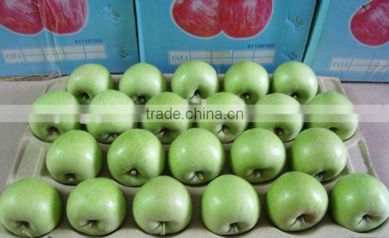 2015 China Green Apple Gala