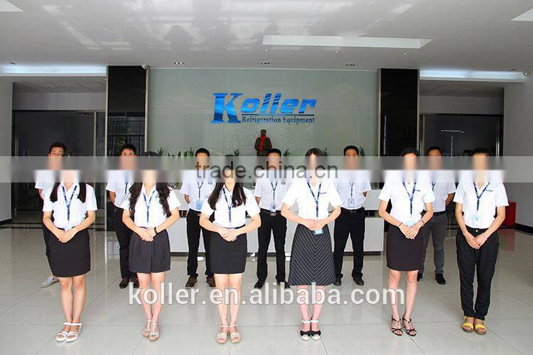 Koller 10 tons Hard and Strong Ice Block Maker With 20kg, 25kg, 30kg, 50kg, 100kg ice block per piece