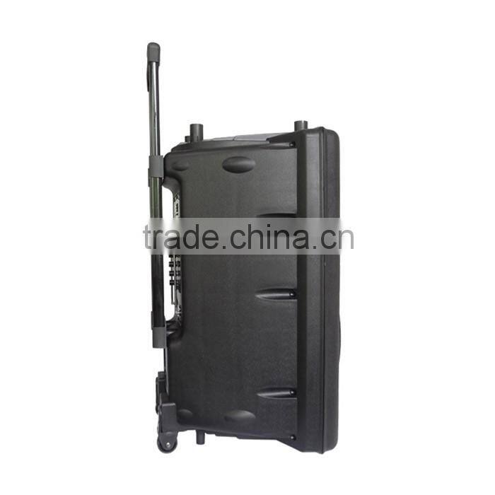 15 inch hot active type portable trolley bluetooth speaker with fm radio