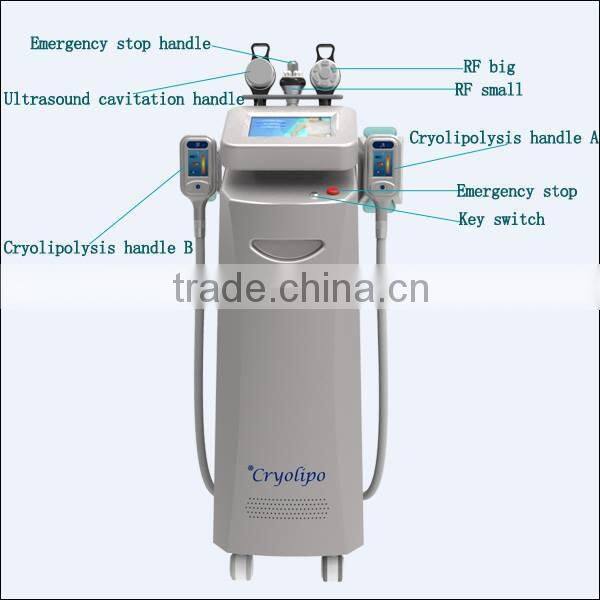 2015 Most people buy cryolipolysis machine/weight loss in short time cryolipolysis machine/lowest price cryolipolysis machine