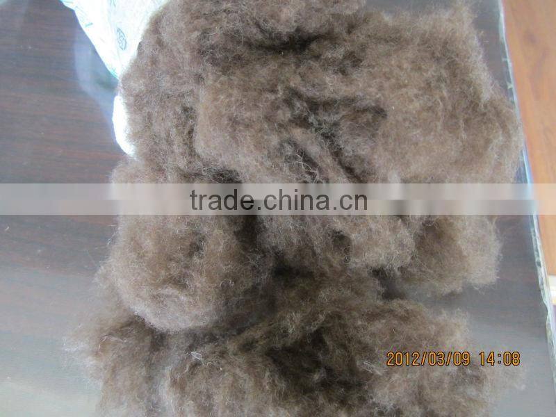 SPRING DISCOUNT!!! lowest price 100% grey camel cashmere, 21-22.5mic&35-50mm, natural color