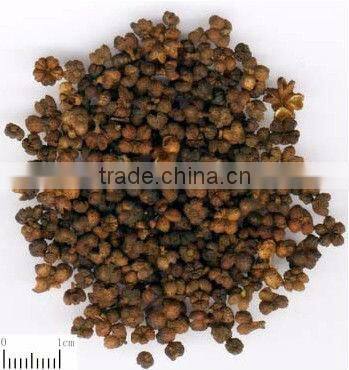 GMP Factory Supply Natural Evodia Rutaecarpa Fruit Extract