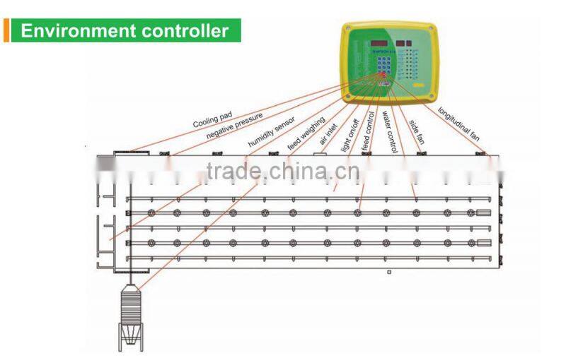 chicken poultry breeding houses