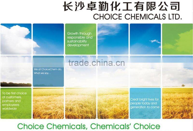 China manufacturer supply L-Tryptophan for best price