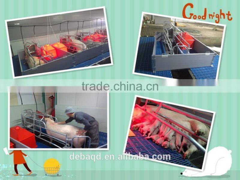 DEBA farrowing crate for pig pig farming equipment farrowing pen