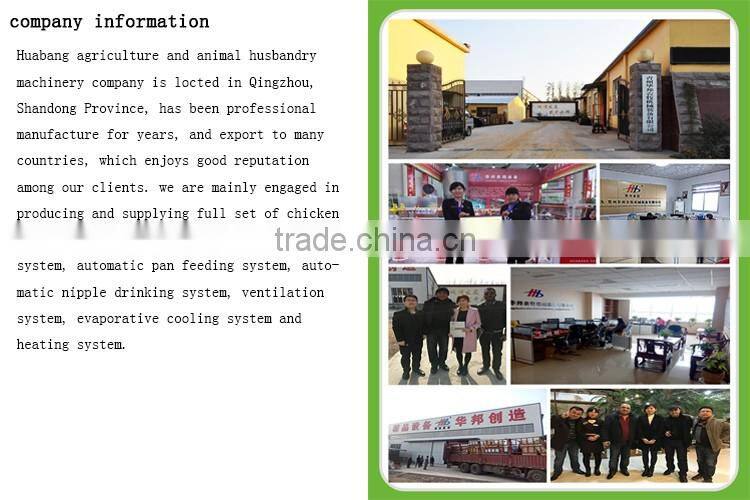 chicken nipple drinkers