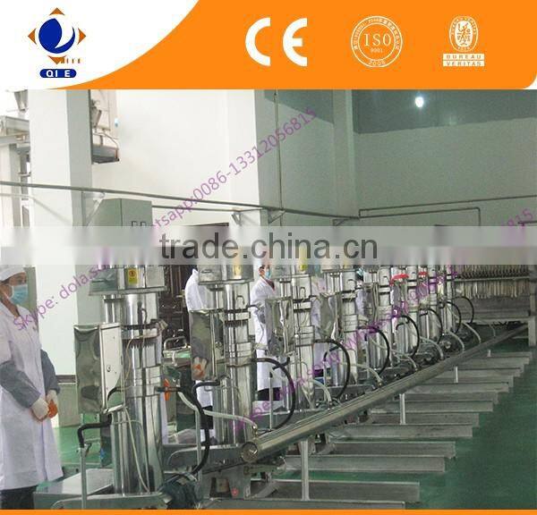 AS027 small sunflower hydraulic press machine price