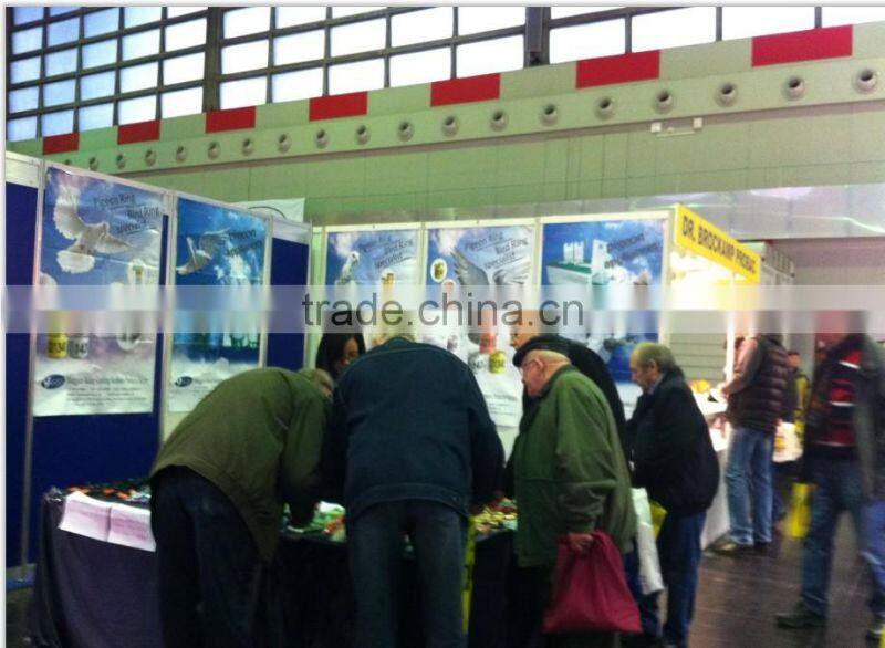 2015 High quanlity plastic pigeon floor mats poultry plastic mats making