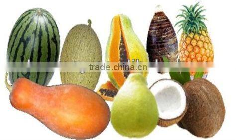 2013 hot sale pumpkin peeler machine