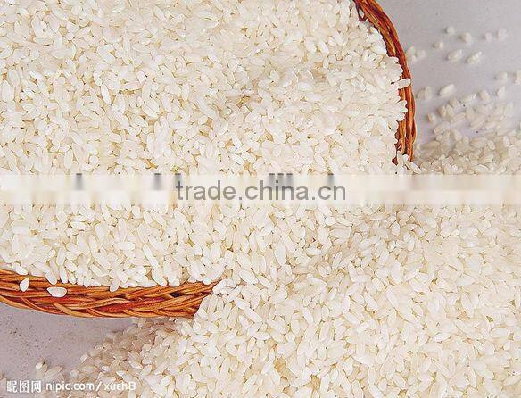 2013 newest best selling effective paddy pounder