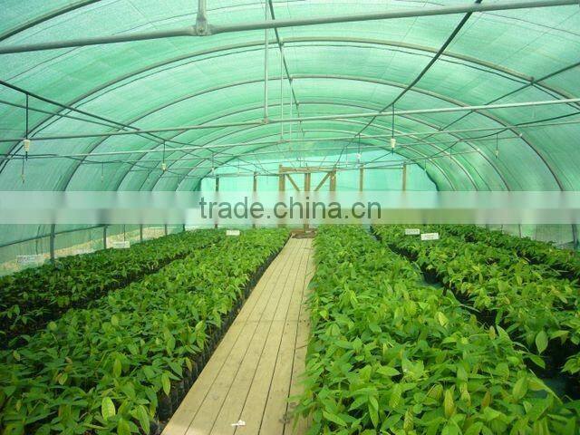 Factory Price Plastic Angricultural Greenhouses For Sale