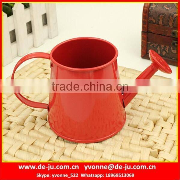 Modern Popular Metal Watering Pot