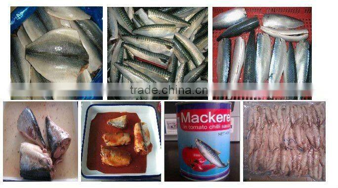 seafood mackerel Horse mackerel