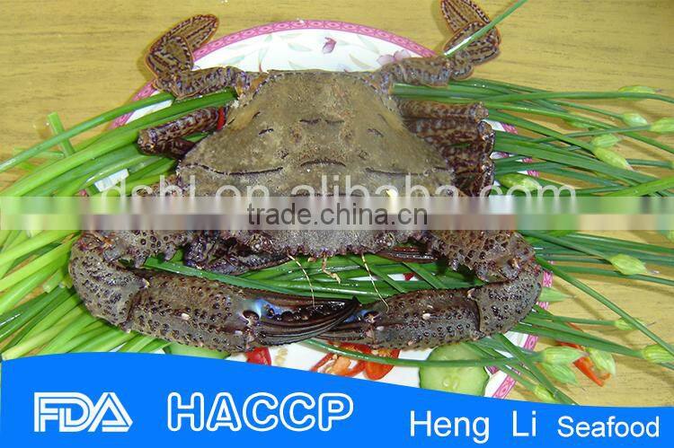 Frozen Black Crab,Frozen Crab,Stone Crab ,Crab Whole Round