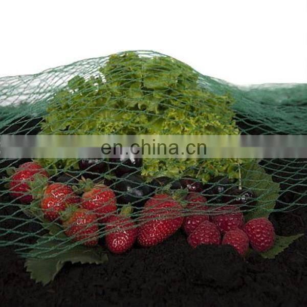 Cheap! White knotted anti-bird net, monofilament anti bird net