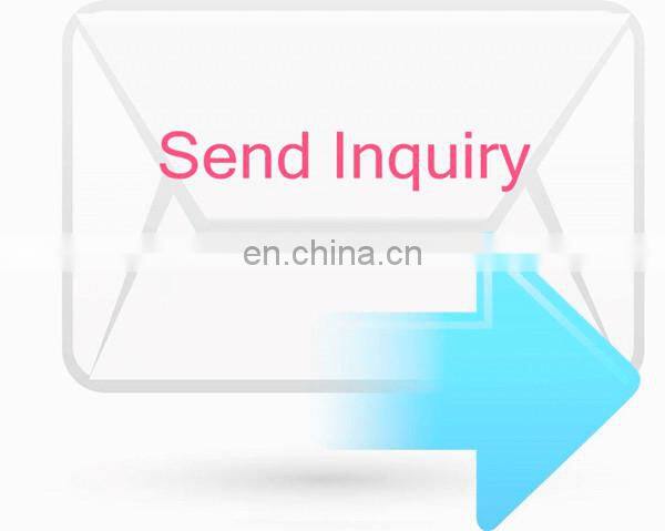 PP material leno vegetable Onions mesh bags with label