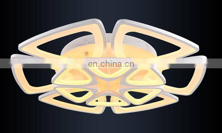 Zhongshan manufacture modern ceiling lights surface mounted lamps