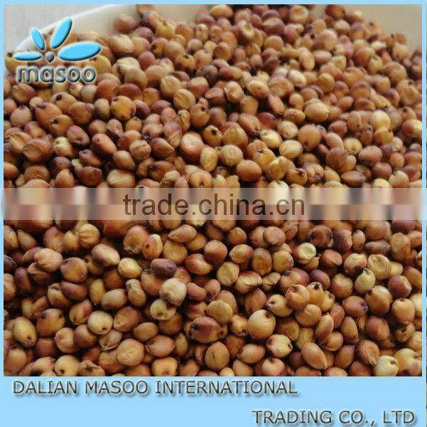 White Sorghum Seeds