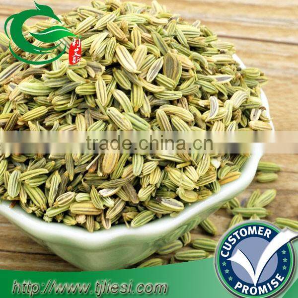 supply fennel fruit for pungent spice