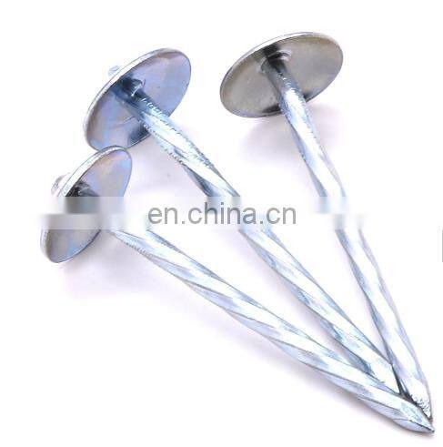 galvanized corrugated sheet nails twisted shank umbrella head roofing nails direct factory hot sale