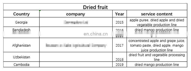 Dried fruit dehydration/dehydrator machine industrial shanghai