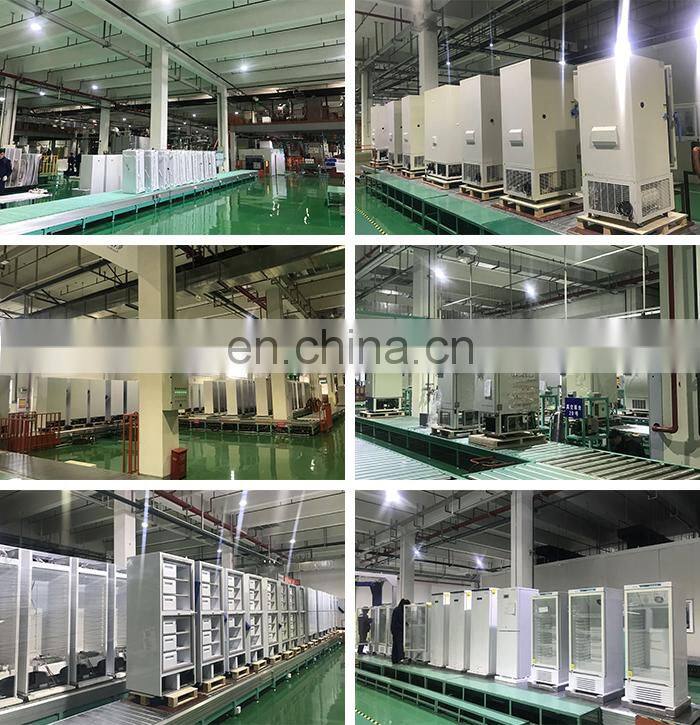 Big size medical -80 degree laboratory upright freezer