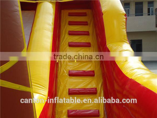 Most fascinating Inflatable Slide Type Inflatable Double Lane Slip Slide