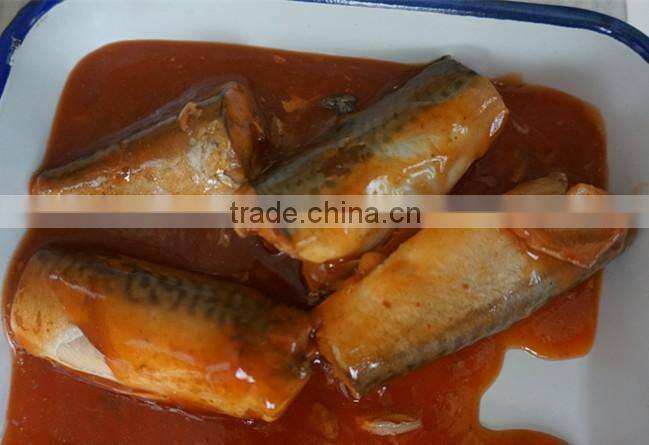 Good taste canned mackerel in tomato sauce high quality
