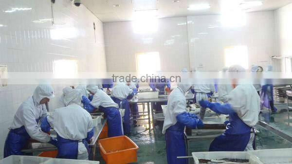 Supply frozen Spanish mackerel (scomberomorus niphonius)