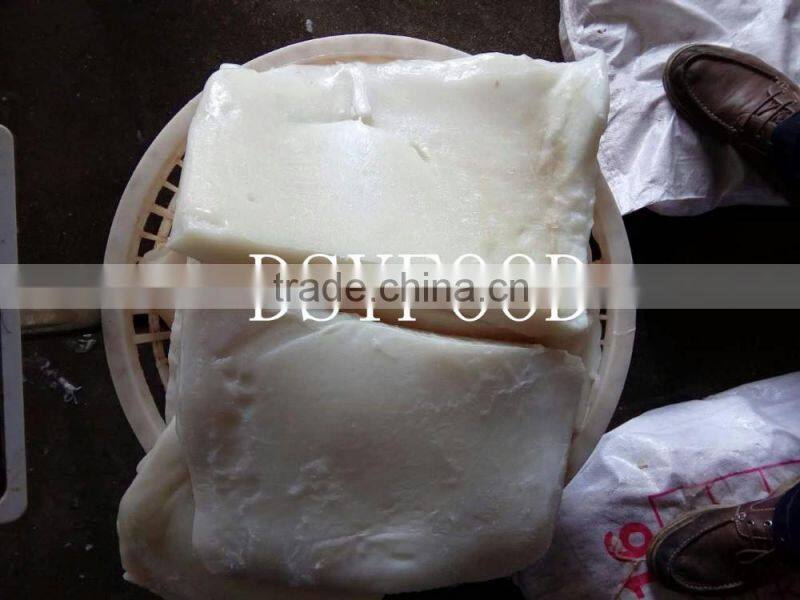 frozen peru giant squid