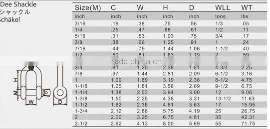 16 years experience China suppiler factory price ss 304 D shackle