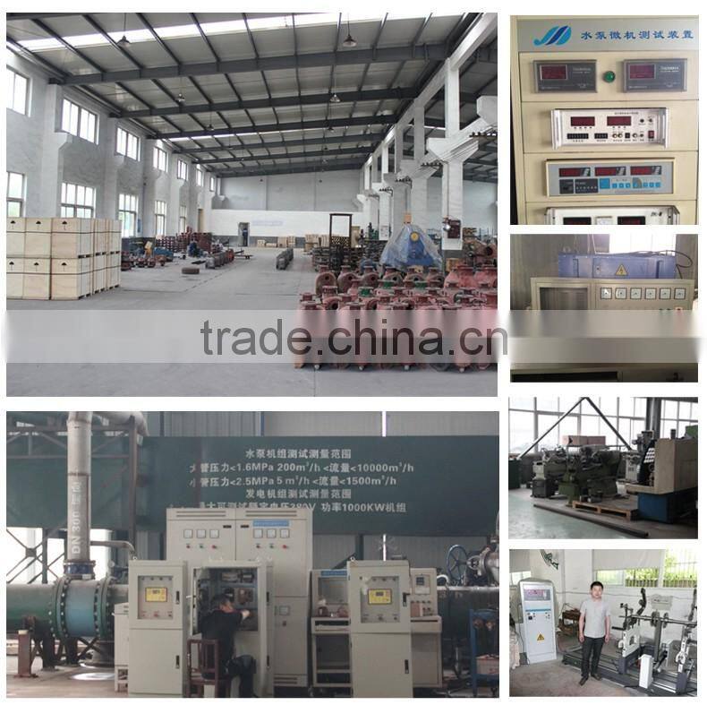 DEFU-Tpow double suction water pumps with diesel engine