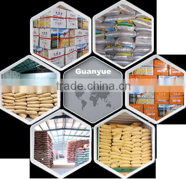 New crop green pumpkin seeds for sale