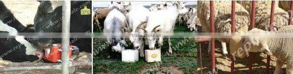 salt licking block making machine