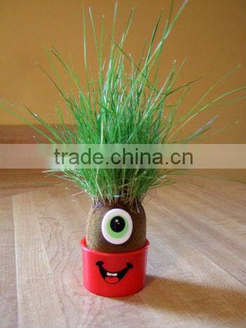 DIY grass head dolls plants for birthday gift