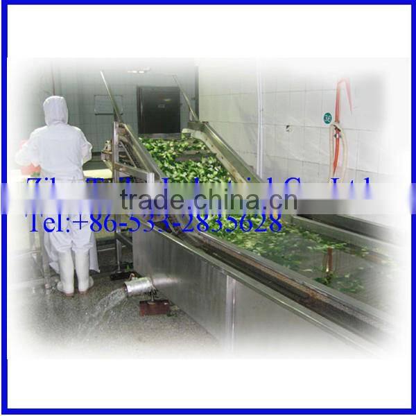 Stainless Steel tomato Washer Machine Price
