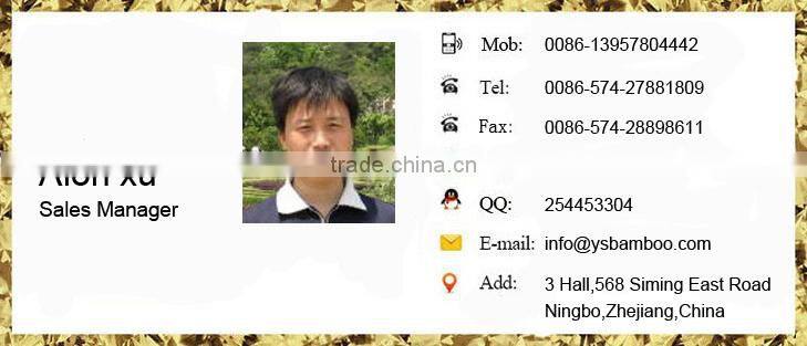 Modern Living Room Rugs