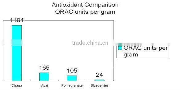 KOSHER Certified Chaga Extract (inonotus obliquus) / Polysaccharides 10%-50% UV