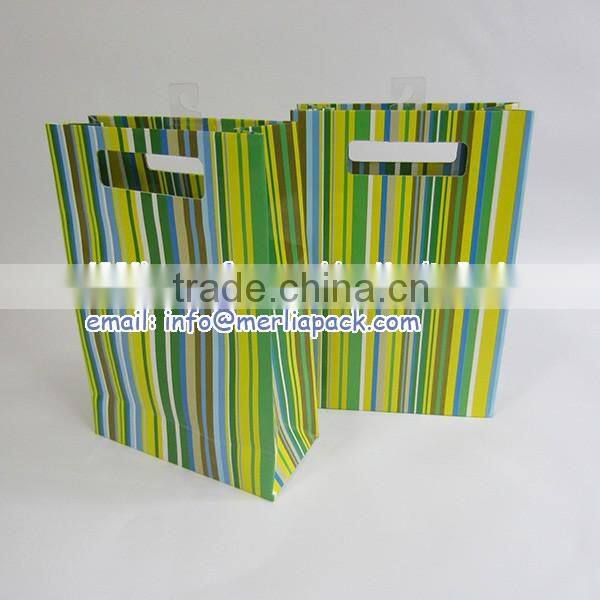 Luxury Paper Gift Bags Party Wedding Birthday with Euro Hook Slot Hang Tabs Bag