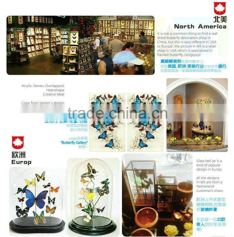 FOUSEN(011) Nature& Art natural real dried butterfly unique table frame