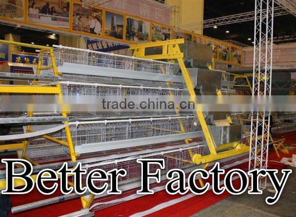 Hot-sale hign quality professional automatic chicken poultry feeding machine