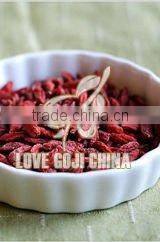 Bio Gemeiner Bocksdorn